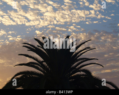 Sonnenuntergang Stockfoto