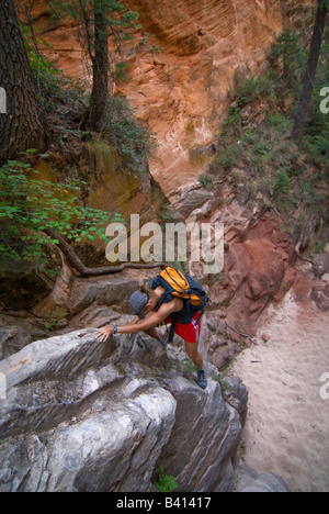 USA, Utah, Zion Park.  Eine weibliche Wanderer kriecht in Hidden Canyon.  (MR) Stockfoto