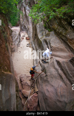 USA, Utah, Zion Park.  Eine junge weibliche Wanderer hilft ein senior männlichen Wanderer in Hidden Canyon.  (MR) Stockfoto