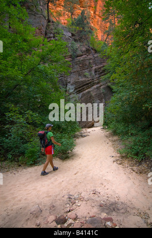 USA, Utah, Zion Park.  Eine weibliche Wanderer in Hidden Canyon.  (MR) Stockfoto