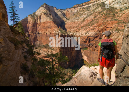 USA, Utah, Zion Park.  Eine weibliche Wanderer blickt auf den Rest des Parks von ganz oben auf dem Hidden Canyon Trail.  (MR) Stockfoto
