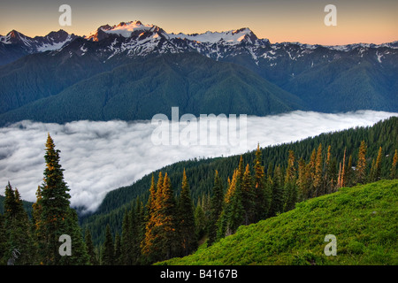 USA, Washington, Olympic Nationalpark.  Blick auf Mt. Olympus von den hohen teilen. Stockfoto