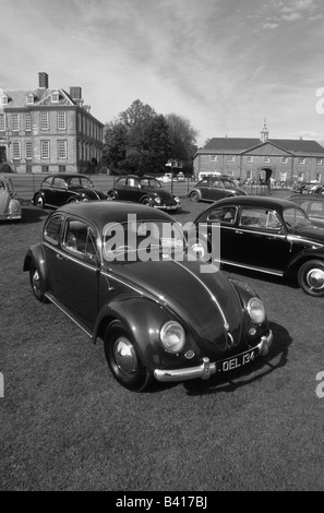 Volkswagen Käfer. Stanford Hall-Rallye 2003. Auto Auto classic Cool ikonischen Stockfoto