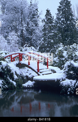 WA, Seattle, Mond-Brücke und Teich nach Winter Schneesturm; Kubota-Garten Stockfoto