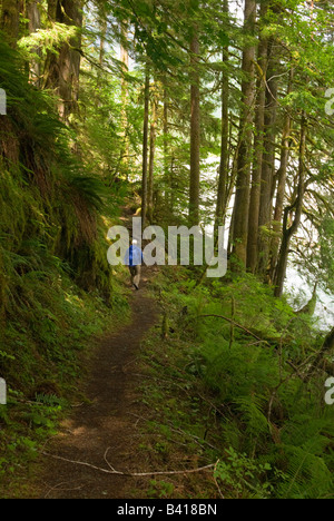 USA, WA, Mount Baker Snoqualmie National Forest. Gefleckte Licht auf Wanderer, Baker River Trail Stockfoto