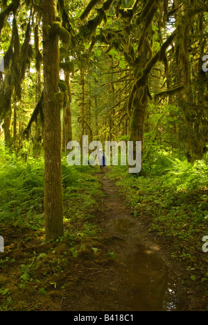 USA, WA, Mount Baker Snoqualmie National Forest. Baker River Trail geht aber üppigen Wald (MR) Stockfoto