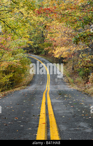 Straße durch Herbst Wald in Pine Mountain State Park Kentucky Stockfoto