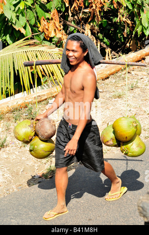 Mann trägt Kokosnüsse, Bali Aga Dorfleben, Semberan, Nordbali, Indonesien Stockfoto