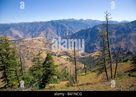 Ein Blick auf die Hells Canyon National Recreation Gebiet Snake River Schlucht von Hut Point Lookout im östlichen Oregon Stockfoto