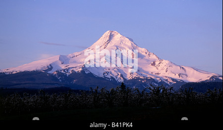 Eine Ansicht des Mount Hood von Parkdale Oregon in der Hood River Valley Region der nördlichen Oregon Cascade Mountains Stockfoto