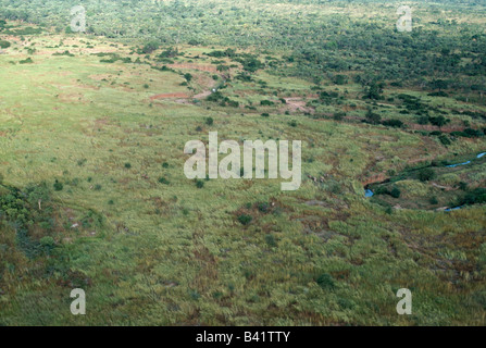 Elefanten im North Luangwa National Park betrachtet aus der Luft, Sambia. Stockfoto