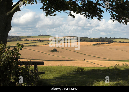 Blick nach Norden von Cissbury Ring über den South Downs in West Sussex. Stockfoto