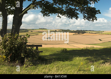 Blick nach Norden von Cissbury Ring über den South Downs in West Sussex. Stockfoto