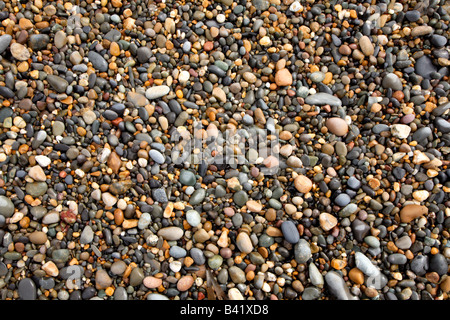 Bunte nasse Kieselsteine auf Aberystwyth North Beach. Stockfoto