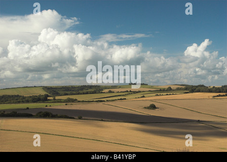 Blick nach Norden von Cissbury Ring über den South Downs in West Sussex. Stockfoto