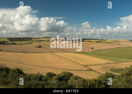 Blick nach Norden von Cissbury Ring über den South Downs in West Sussex. Stockfoto