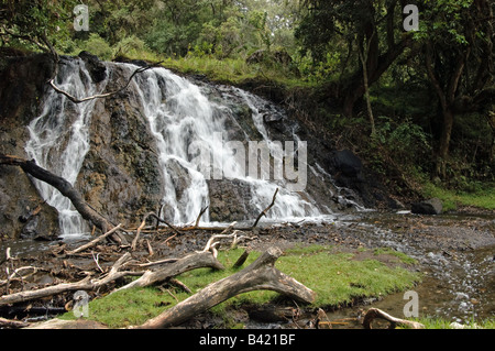 Wasserfall im Wald des Mount Meru, Arusha National Park, Tansania Stockfoto