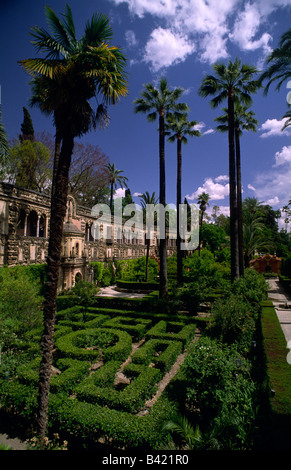 Spanien, Sevilla, Alcazar Stockfoto