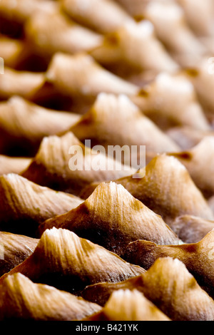 abstrakt Nahaufnahme Schuss eines Pinienzapfens Stockfoto