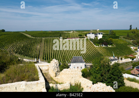 Lastverkehr-Dutheil / Clos de l ' Echo Weinberg, Chinon, Frankreich. Stockfoto