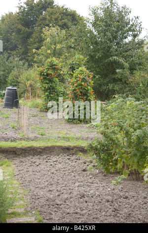 eine Szene aus unserer lokalen Zuteilung Stockfoto