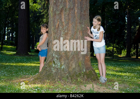 Zwei junge Mädchen spielen Versteckspiel im Wald Stockfoto