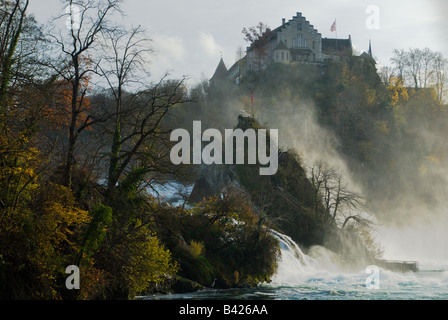 Schloss über Rheinfalls im Herbst Stockfoto