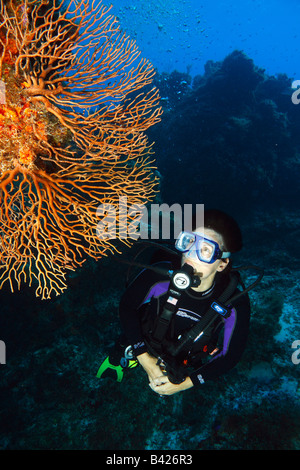 Weibliche Taucher erkunden weichen Gorgonien Gorgonien Korallen schwimmen entlang der Coral Riff-Formationen. Stockfoto