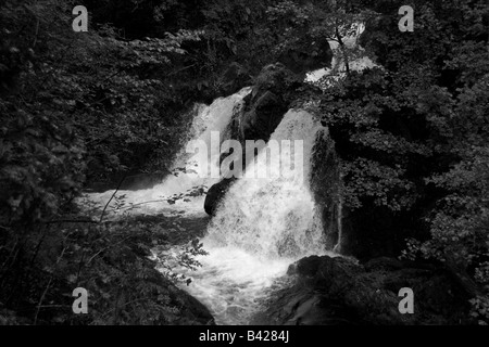 Colwith fällt in der Nähe von Little Langdale, Lake District, Cumbria in schwarz / weiß Stockfoto