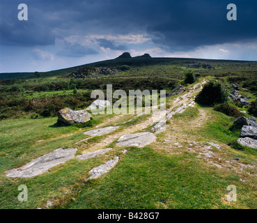 Haytor Granite Tramway führt zum Haytor Quarry im Dartmoor National Park in der Nähe von Bovey Tracey, Devon, England. Haytor Rocks kann man am Horizont sehen. Stockfoto