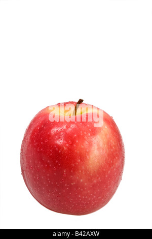 Pink Lady Apfel Stockfoto
