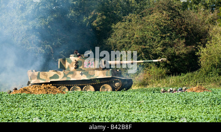 Deutschen Tiger-Panzer des zweiten Weltkriegs kreuzt ein Feld der jungen Pflanzen in eine Nachstellung der Schlacht am Spanhoe Flugplatz, Northamptonshire Sept 2008 Stockfoto
