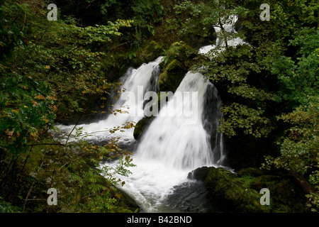 Colwith Wasserfälle, kleine Langdale, Lake District, Cumbria Stockfoto