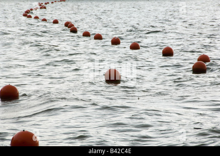 Gekrümmte Linie rot Kunststoff Bojen ein wenig größer als Basketbälle markiert ein Dropoff in welligen Wasser in der Nähe Küste schwimmen vor Ort Stockfoto