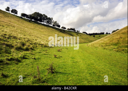 Holm Dale nahe dem Dorf Fridaythorpe, auf die Yorkshire Wolds Way National Trail, England Stockfoto