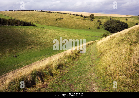 Horse Dale nahe dem Dorf Fridaythorpe, auf die Yorkshire Wolds Way National Trail, England Stockfoto