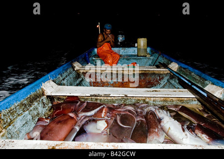 Mexikanische Fischer mit seiner Beute Jumbo Tintenfisch Humboldt Squid Hand gefangen bei Nacht Dosidicus gigas Stockfoto