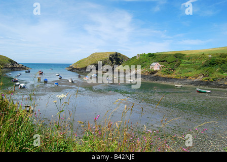 Blick auf den Hafen, Abercastle, Pembrokeshire Coast National Park, Pembrokeshire, Wales, Vereinigtes Königreich Stockfoto