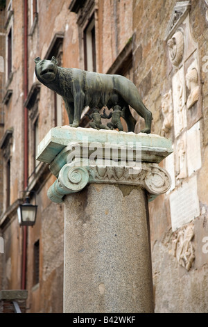 Die Kapitolinische Wölfin, die berühmte etruskische Statue auf Spalte in der Nähe von Roman Forum, Rom, Italien, Europa Stockfoto