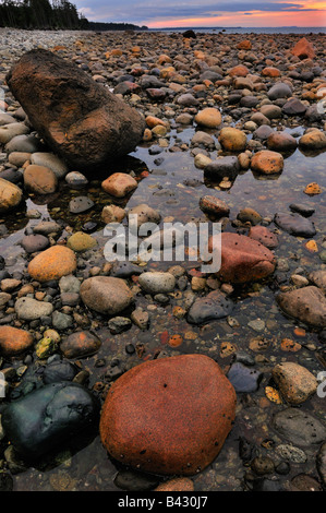 Graham Island in der Nähe von Tlell, Haida Gwaii (Queen Charlotte Islands), Britisch-Kolumbien, Kanada, 2008 Stockfoto