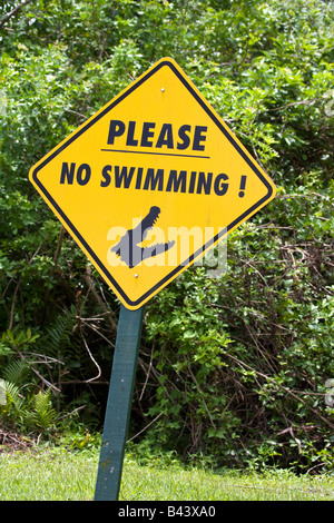 Kein Schwimmen Alligatoren! Zeichen, Florida, USA Stockfoto