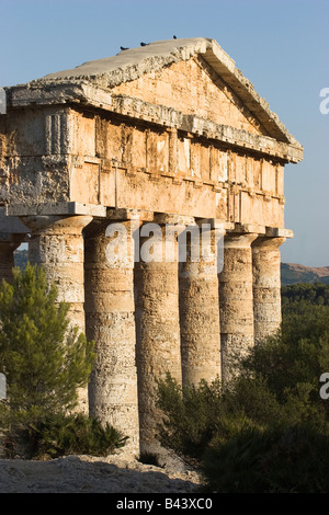 Dorischer Tempel in Segesta (große Städte der Elymer) erbaut im späten 5. Jahrhundert v. Chr., Calatafimi, Trapani, Sizilien Stockfoto