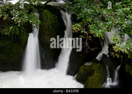 Wasserfälle in der Nähe von Colwith fällt, wenig Langdale, Seenplatte, Cumbria Stockfoto