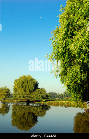 See in Bushy Park, London, mit kleinen halb Mond hoch am blauen Himmel Stockfoto