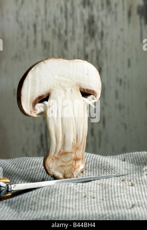 Champignons in zwei Hälften geschnitten Stockfoto