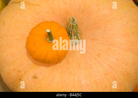 Preisgekrönte bio Obst und Gemüse auf dem Display Stockfoto