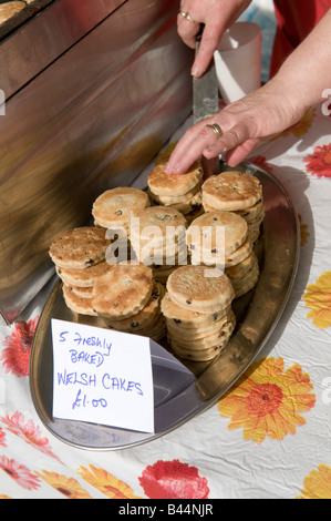 Teller mit frisch gekochten Zimt gewürzt Welsh Cakes zum Verkauf an Aberystwyth Bauern Markt und Lebensmittel fair Wales UK Stockfoto