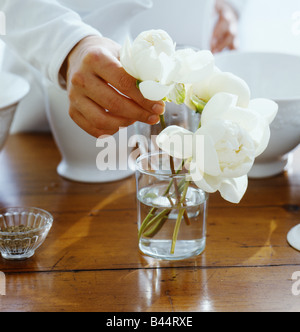 Pfingstrose Blumen in einer Vase auf dem Tisch platzieren Stockfoto