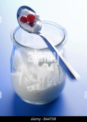 begonnen von Topf Joghurt mit Johannisbeeren Stockfoto