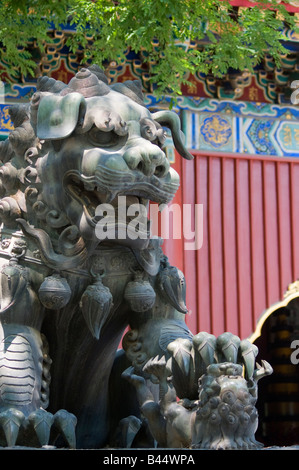Chinesische Wächter Löwen Lama-Tempel in Peking. Stockfoto
